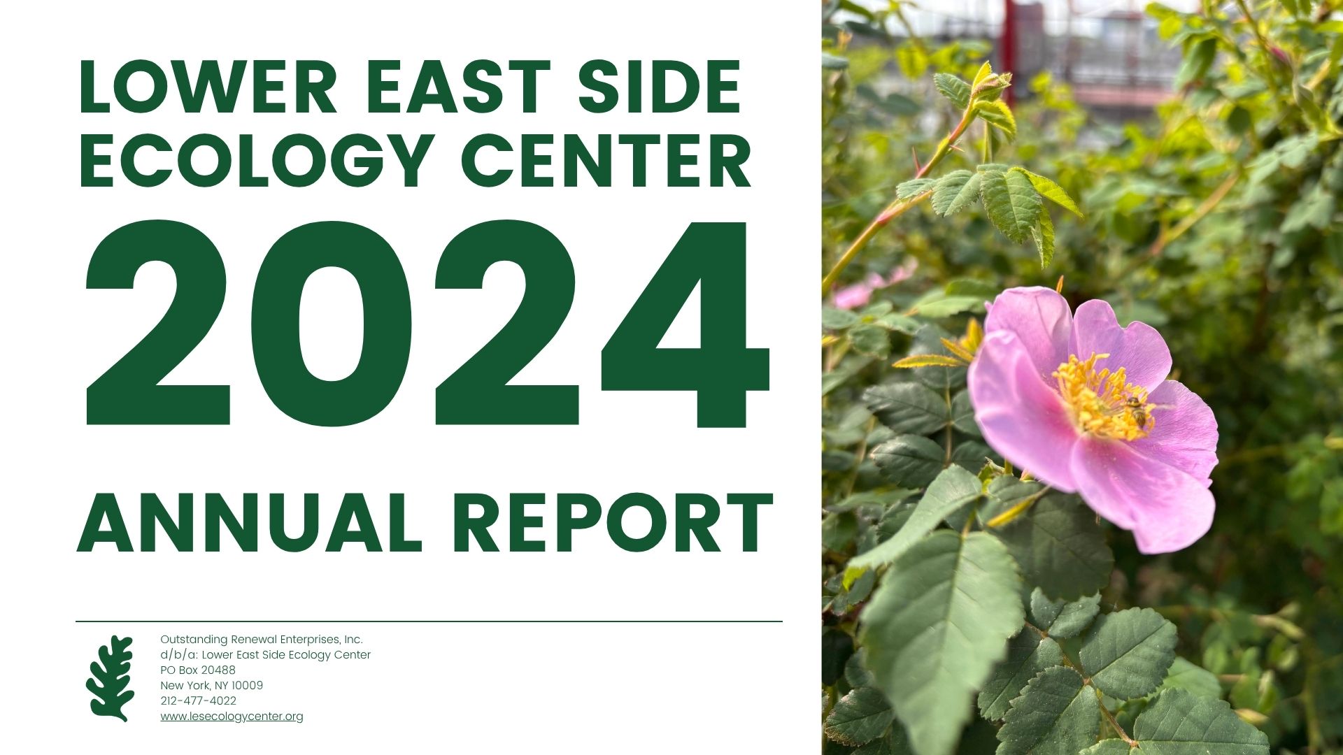 Annual Report | LES Ecology Center