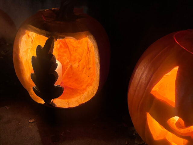 Tales from the Urban Forest: Halloween Tree Walk