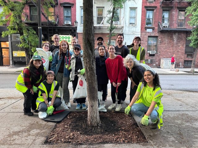 Street Tree Canopy Care Volunteer Day